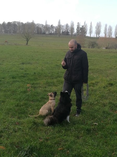 Can'Idéal - éducateur canin et comportementaliste (37)