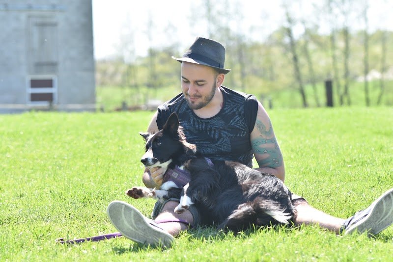 Can'Idéal - éducateur canin et comportementaliste (37) - photo 2