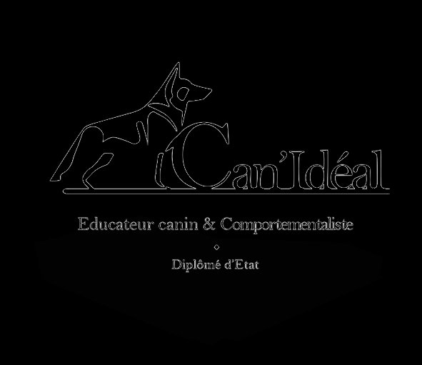 Can'Idéal - éducateur canin et comportementaliste (37) - photo 3