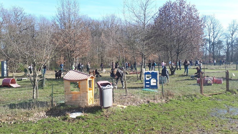 Club d'Éducation Canine Ballan-Miré ECB37 - photo 1