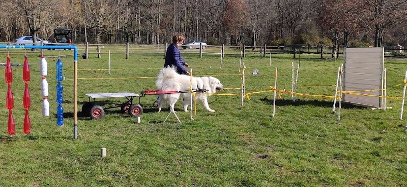 Club d'Éducation Canine Ballan-Miré ECB37 - photo 2