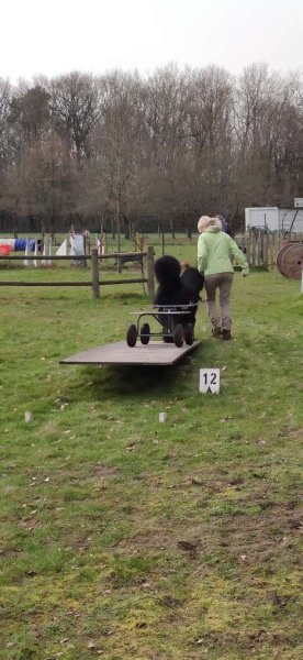 Club d'Éducation Canine Ballan-Miré ECB37 - photo 3