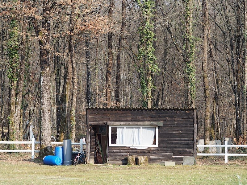 Club Tourangeau Du Chien De Sport