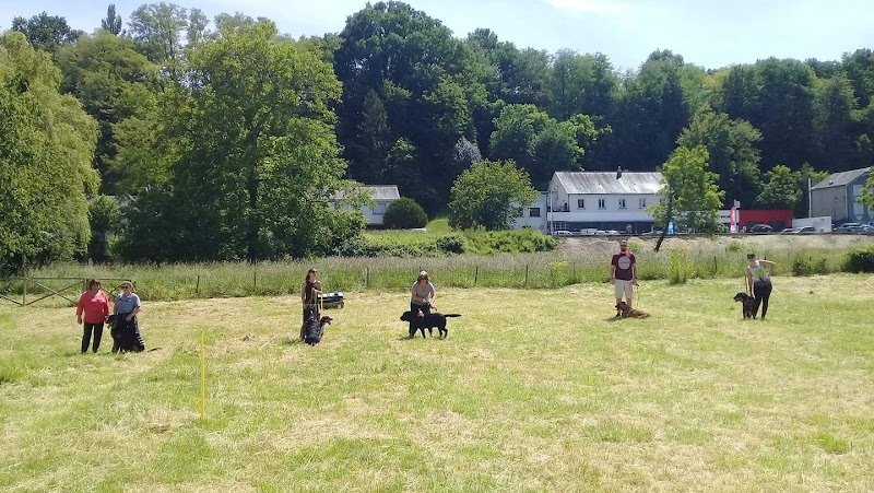 Dog'teur Whoouf - photo 1