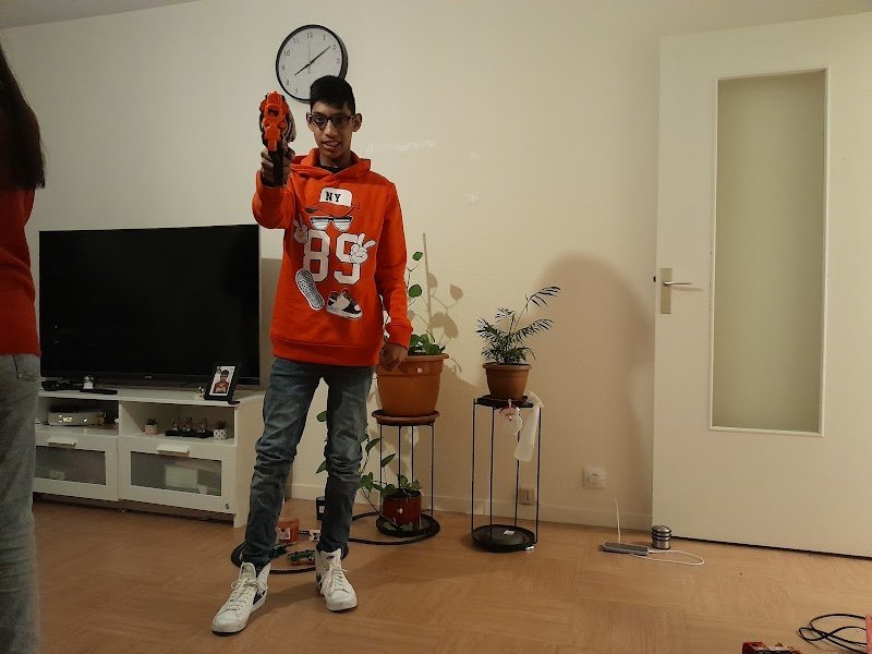 Dog éducation - photo 3