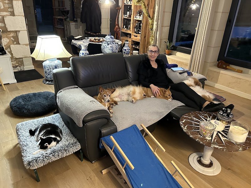 En harmonie avec mon chien - Comportementaliste canin - photo 2