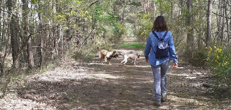 Les amis du chien de garde - photo 1