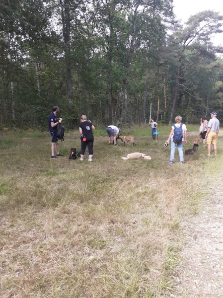 Les amis du chien de garde - photo 3