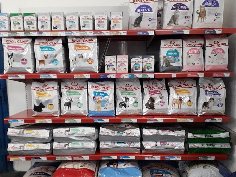 Pension Canine - photo 2