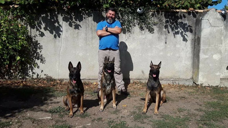 PSYCHO CYNO (Comportementaliste et éducateur canin)