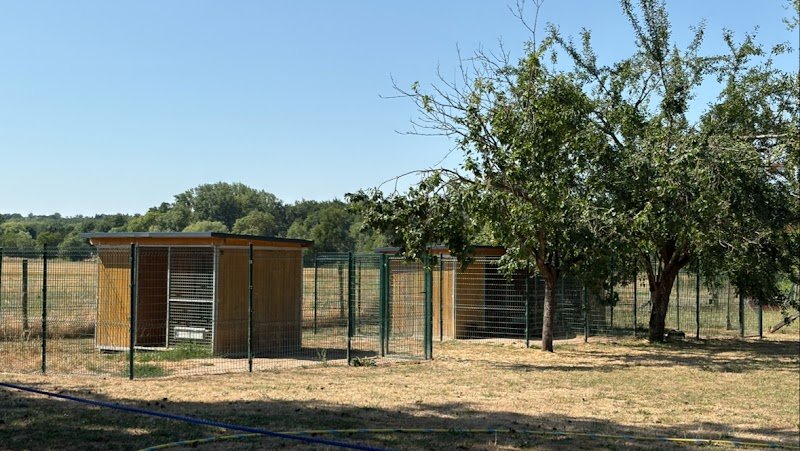 Pension Canine Animo-Services