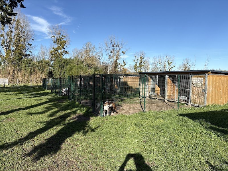 Pension Canine Animo-Services - photo 2