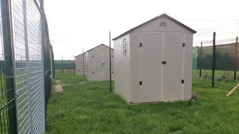 Dogs and Cats Lodges - Pension canine et féline / Comportementaliste animalier