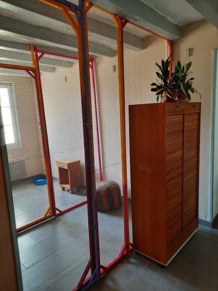 Dogs and Cats Lodges - Pension canine et féline / Comportementaliste animalier - photo 3