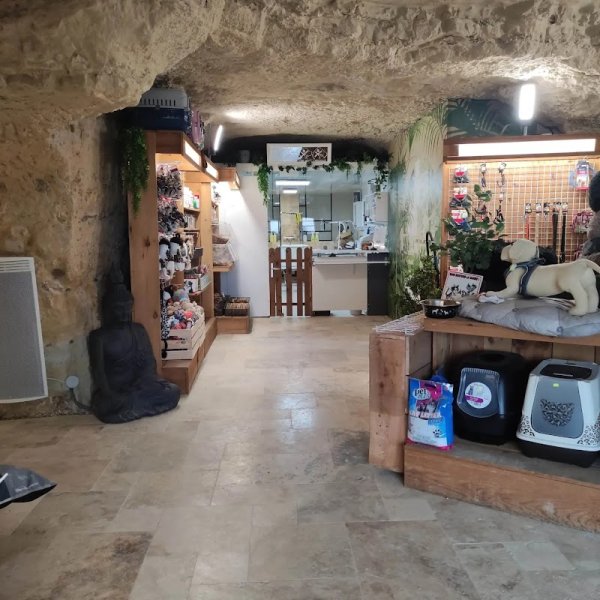 Cani'Chic - Toiletteur Canin Tours - photo 2