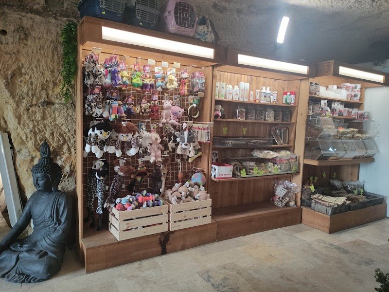 Cani'Chic - Toiletteur Canin Tours - photo 3