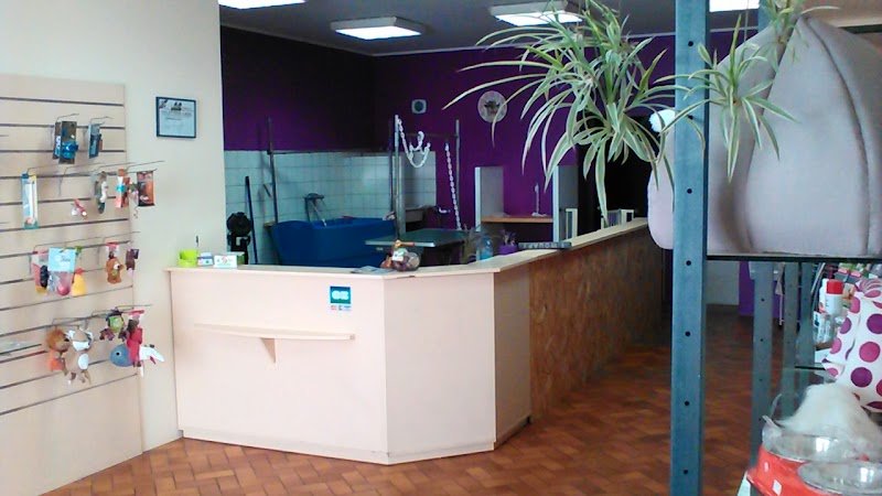 L Espace Canin - photo 1