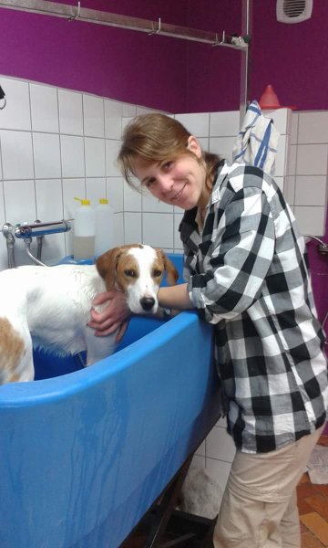 L Espace Canin - photo 2