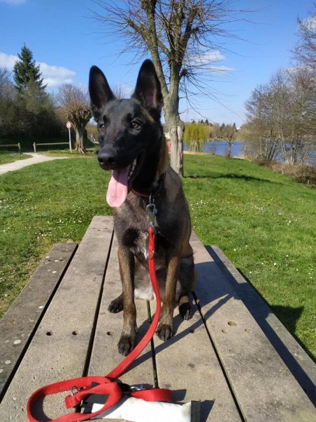 HELP AGILITY - photo 3