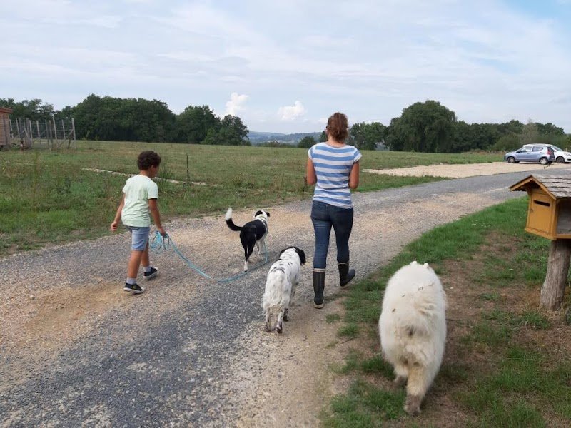 Entente Canine - photo 3