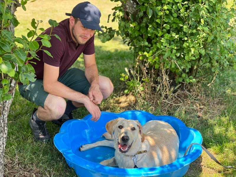 L'Académie Des Chiens Sarthe - photo 2