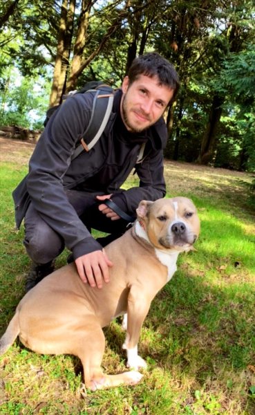 L'Académie Des Chiens Sarthe - photo 3