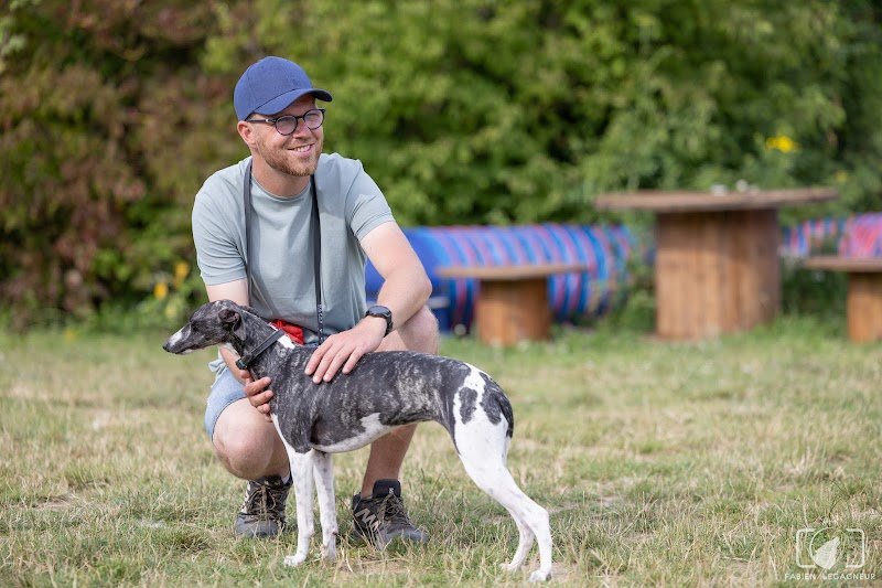 Pedadog By Gaetan Educateur Canin Pas de Calais