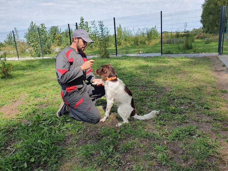 Phoenix Garden (Pension canine) UNIQUEMENT SUR RDV - photo 3