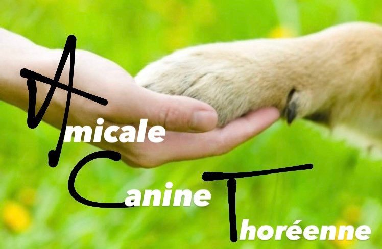 Amicale Canine Thoréene - photo 2