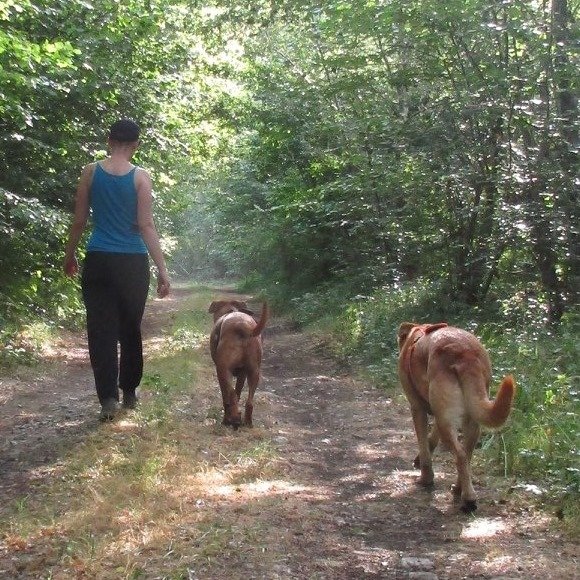 Entre Chiens et Lou - Communication Animale Intuitive 86 - photo 2