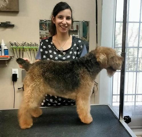 Centre Educatif Canin - photo 2