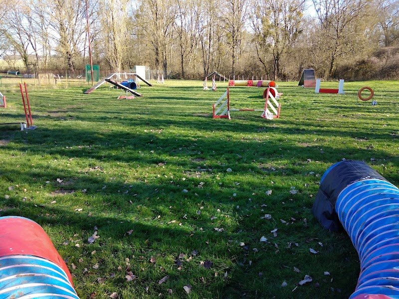 Club canin ESCC - photo 1