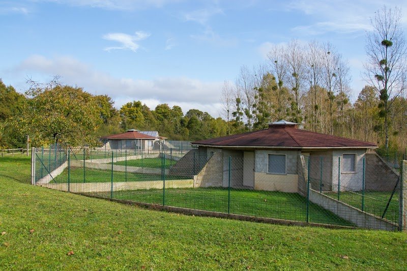 La Georgettière - Pension canine et féline