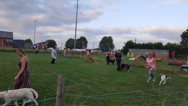 Hobby Dog Rocourt - photo 2