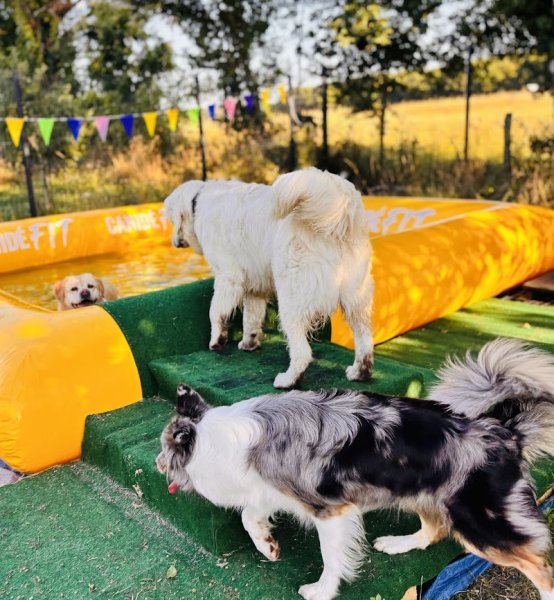 La Colocanine - photo 2