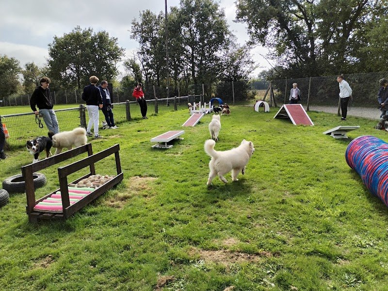 Club Canin Yonnais - photo 3