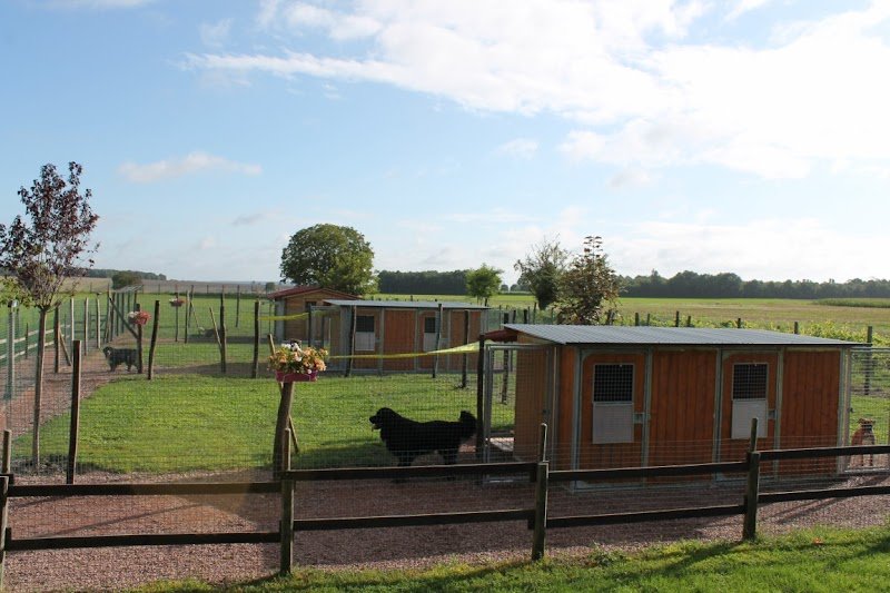 La vallée de la Veude, pension pour chiens - photo 1