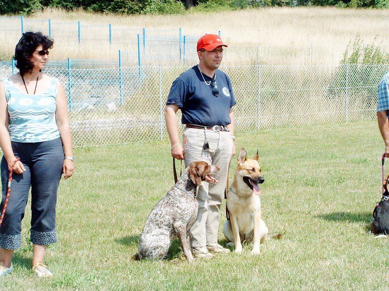 Educ'action canine de l'argoat - photo 2