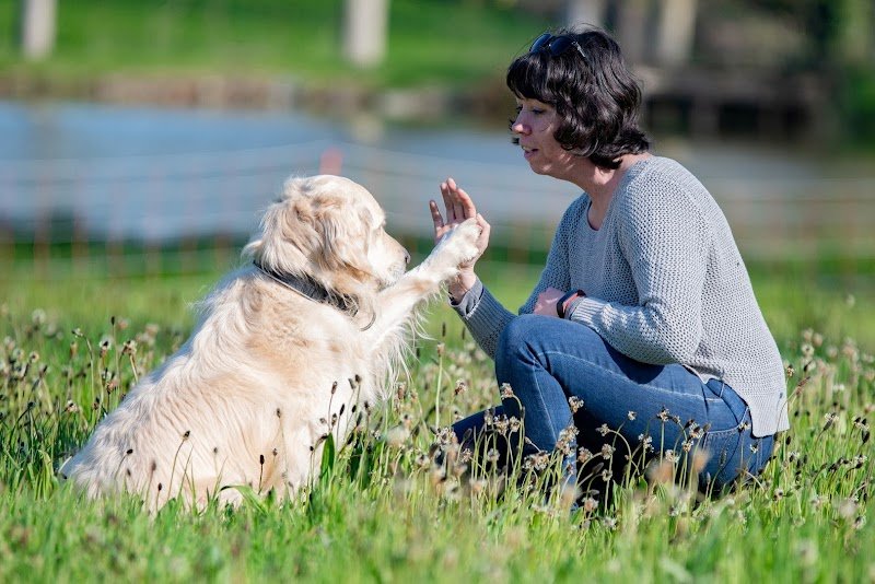 SIMBA - Education canine à domicile - photo 2