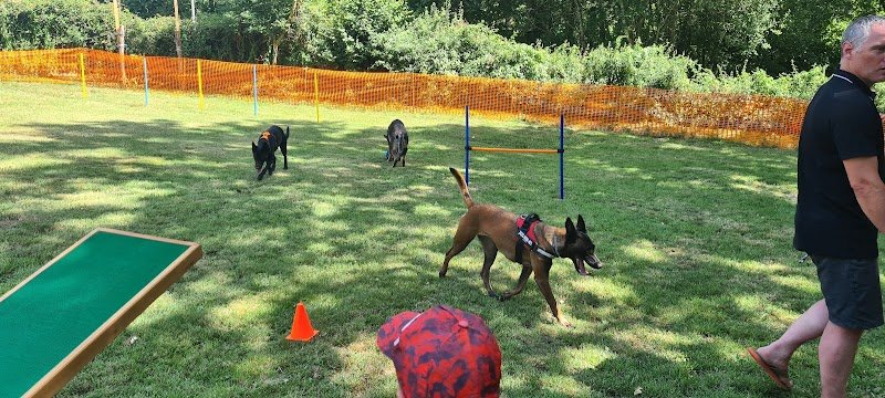 Canisevres (educateur canin) - photo 2