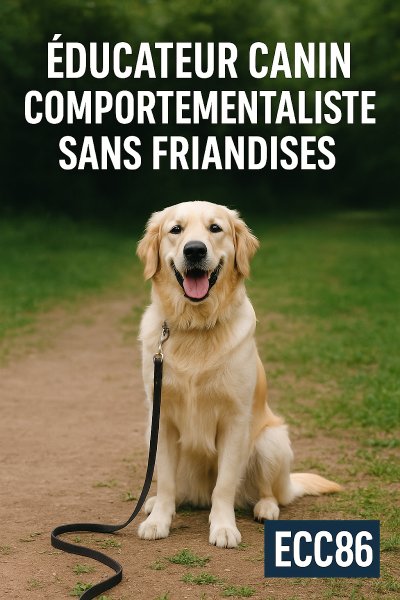 ECC86 – Éducateur Canin & Comportementaliste à Poitiers