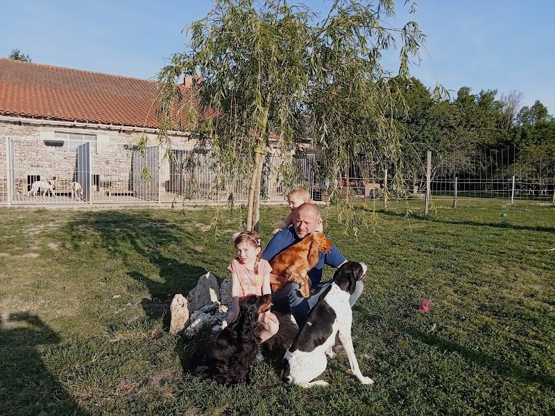 Pension canine Les Guerriers du Vent - photo 1