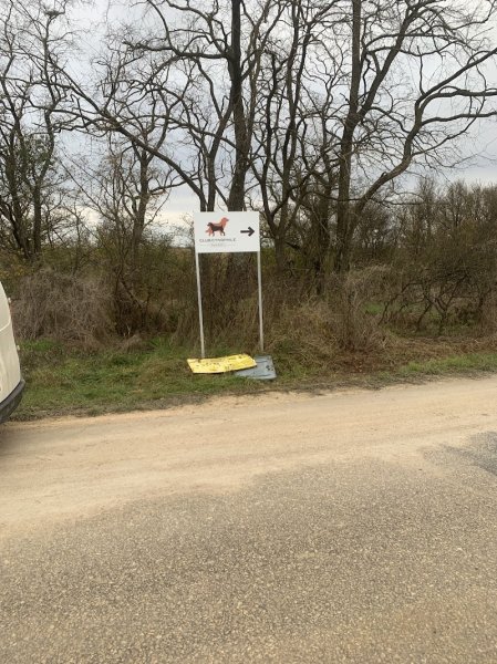 Club Cynophile du Blaisois - photo 2