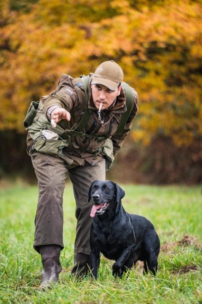 Emmanuel Cormier Dressage de retrievers - photo 2
