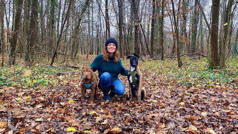 La Woufeuse - Comportementaliste et Éducateur canin