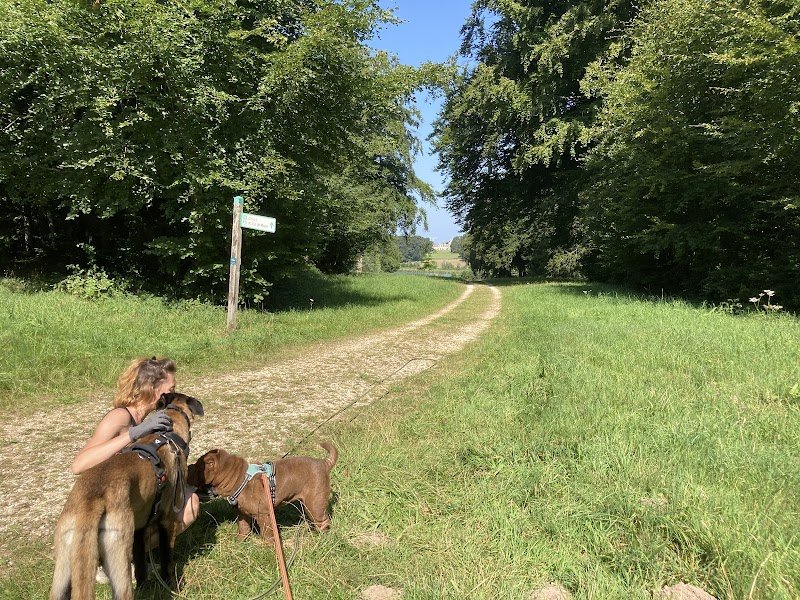 La Woufeuse - Comportementaliste et Éducateur canin - photo 2