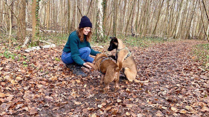 La Woufeuse - Comportementaliste et Éducateur canin - photo 3