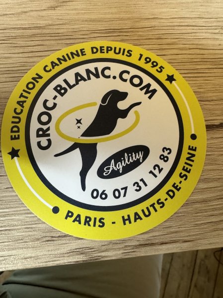 Croc-Blanc, Education canine & Agility - photo 1