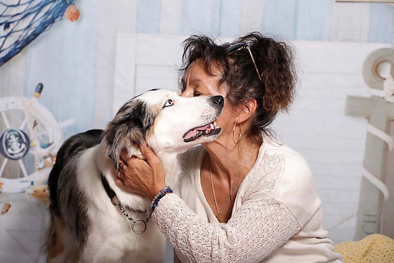 Pension Canine - photo 1