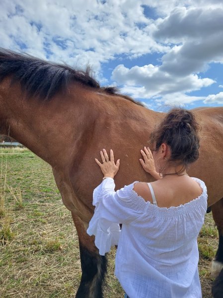 Pension Canine - photo 2